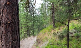 Lot 12 Payette River Ranch, Banks, ID 83602