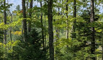 33 Acres Off Net Riv, Amasa, MI 49903