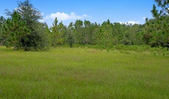 3749 SW 22nd Pl, Bell, FL 32619