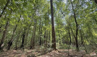 2435 Brignall Rd, Brookhaven, MS 39601