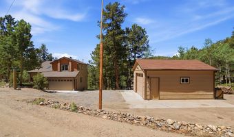 212 Elk Pl, Black Hawk, CO 80422