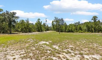 7000 NW 7th Way, Bell, FL 32619