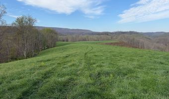 1999 Snake Run Rd, Alderson, WV 24910