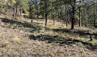 490 Hilltop Dr, Bayfield, CO 81122