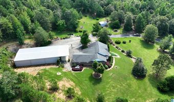 3941 SHOAL CREEK Rd, Ashville, AL 35953