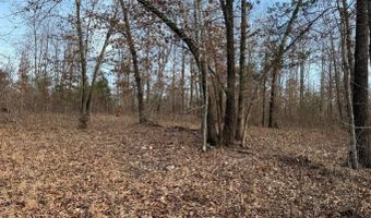 Arnhart Street, Ash Flat, AR 72513