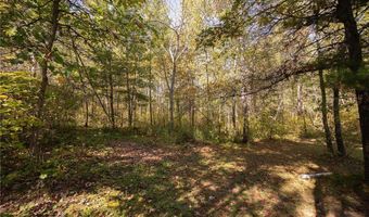 1547 State 371 NW, Backus, MN 56435