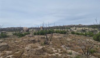 1 Tule Peak Rd, Anza, CA 92536