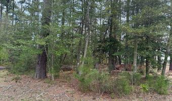 Lot 3 OCEANVIEW COURT, Accomac, VA 23301