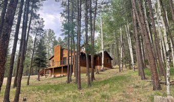 19 Black Lake Ter, Angel Fire, NM 87710