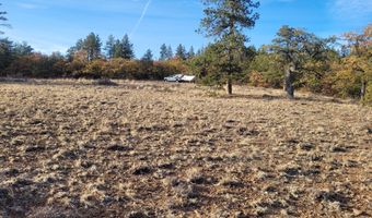 605 PINE CREEK Rd, Bickleton, WA 99322