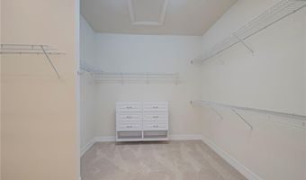 5226 Ciatto, Ave Maria, FL 34142