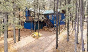 57 Sarazen Ter, Angel Fire, NM 87710