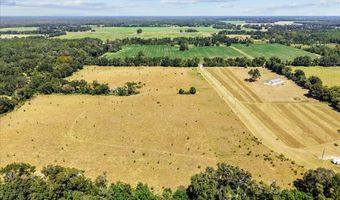 232 344 County Road 344, Bell, FL 32619