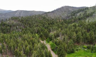 TBD Buckhorn Road, Bellvue, CO 80512