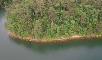 LOT # 4 RON THAMES, Arley, AL 35541