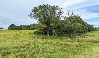 299 County Road 1475, Alvord, TX 76225