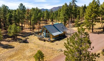 17 County Road 2114, Alpine, AZ 85920