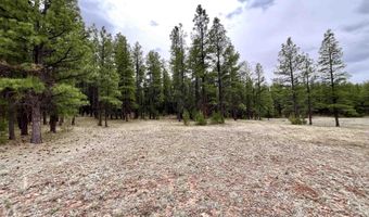 99 Big Notch Forest Trl, Bluewater, NM 87005