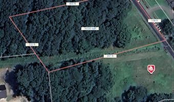 LOT 1 WHITNEY SWAMP ROAD, Bridgeville, DE 19933