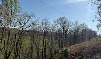 PAYNES POND RD, Arvonia, VA 23004