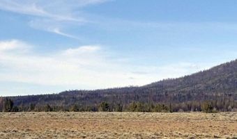 Oregon Pines Road, Beatty, OR 97621