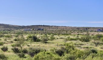 Tract 91 Sierra La Rana, Alpine, TX 79830