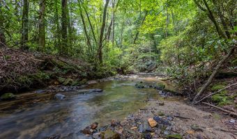 2 9 AC Chestnut Flats Rd, Andrews, NC 28901