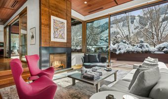 233 E Cooper Ave 301, Aspen, CO 81611