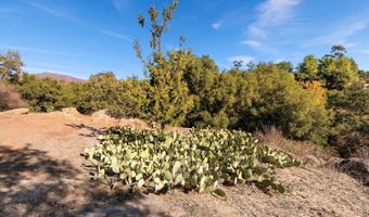 2449 Nido Aguila, Alpine, CA 91901