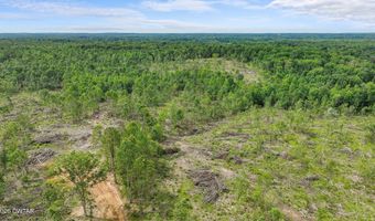 Wynn Road, Big Sandy, TN 38221