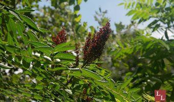 Teal Road, Ardmore, OK 73401