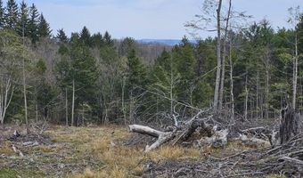 295 Shellstone Rd, Amsterdam, NY 12010