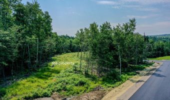 Lot # 6 Whitetail Street, Belfast, ME 04915