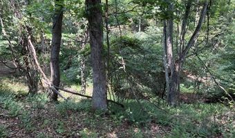 FOX RUN lot 24A 3.22 Ac, Baker, WV 26801