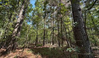 3 Highway 790, Ackerman, MS 38963