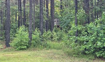 Reed Rock Road, Amelia, VA 23002
