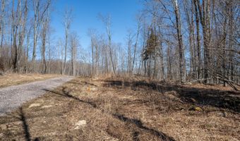 7985 ROCK LODGE Rd, Accident, MD 21520