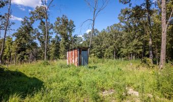 645 County Road 201, Alton, MO 65606