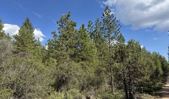 Thunderbear Road 46, Bonanza, OR 97623