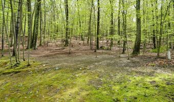 93 Vaughn Hill Rd, Bolton, MA 01740