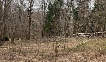 Tbd Old Mountain Road, Banner Elk, NC 28604