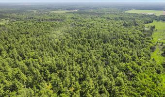 1751 BUTTERCUP Ave, Arkdale, WI 54613