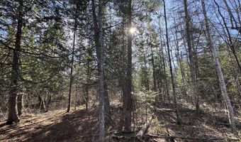 2254 E M30, Alger, MI 48610