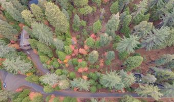 1695 Manzanita Dr, Arnold, CA 95223