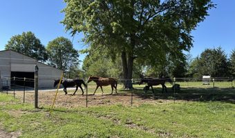 23951 State Highway Z, Ash Grove, MO 65604