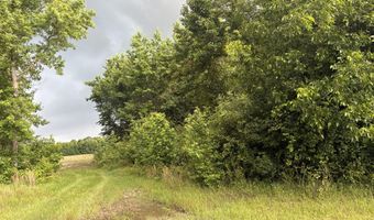 2227 Goward Rd, Alcolu, SC 29001