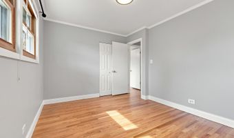 1113 S Haddow Ave, Arlington Heights, IL 60005