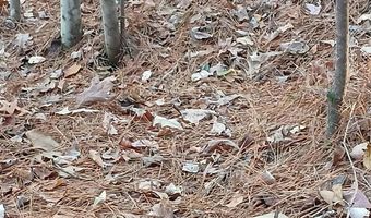 BLACKJACK ROAD lot 0, Argo, AL 35173
