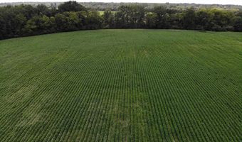 Tbd Cottingham Boulevard N, Bennettsville, SC 29512